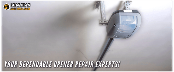 Garage Door Opener Repair And Installation Guardian
